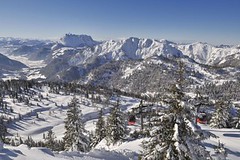 Encyklopedie: Bavorsko - alpský trpaslík
