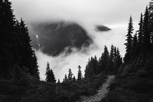 trees blackandwhite bw mist black mountains nature silhouette misty fog clouds contrast forest dark landscape outdoors washington woods moody gloomy view northwest cloudy dusk hiking foggy atmosphere eerie ridge trail alpine backpacking valley cascades mysterious d750 pacificnorthwest vista wa shroud washingtonstate pnw northcascades cascademountains mountbakersnoqualmienationalforest