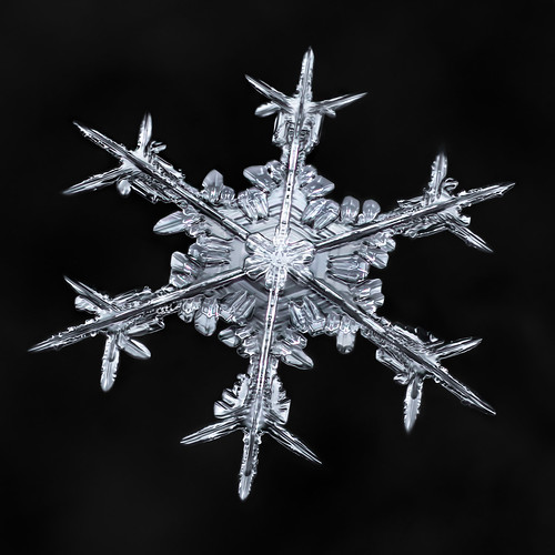 snowflake snow flake ice crystal nature fractal symmetry frozen winter macro sky mpe focusstacking