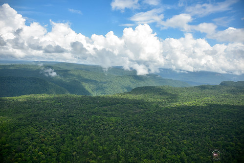 kaieteurfalls waterfalls planeviews landscape landscapephotography clouds nikonphotography southamerica guyana