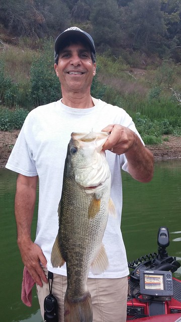 4 Pound Lake Casitas Bass