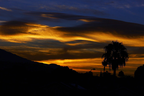 sun tree silhouette san palm rise dimas sandimascalifornia