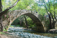 A medieval Bridge in the trees