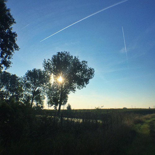 morning sunrise square belgium wideangle squareformat flanders waasland haasdonk iphoneography instagramapp uploaded:by=instagram olloclip olloclipwideangle