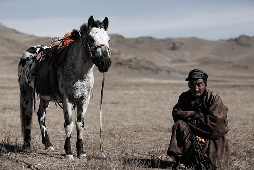 employment mongolia governmentofjapan