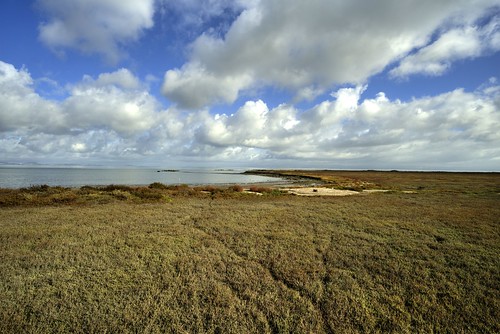 12mm hdr saltmarsh salt marsh sf bay sony a6300 wideangle clouds wetlands