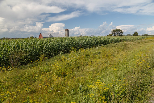 field barn silo