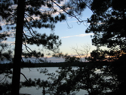 trees sunset lake
