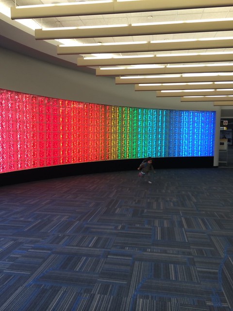 Mio running towards the rainbow wall at Dulles