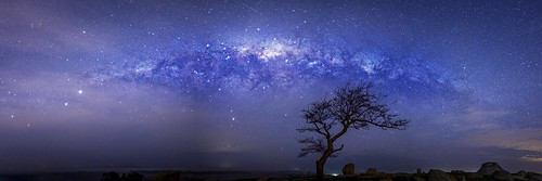 blue sky panorama dog tree night way stars rocks long exposure milky shootingstar