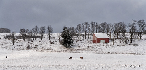 2016 december tioga fall sabinsville tiogacounty places druckfarm grimeshill buildingsarchitecture farm barn landscapes mountains nature snow pa usa