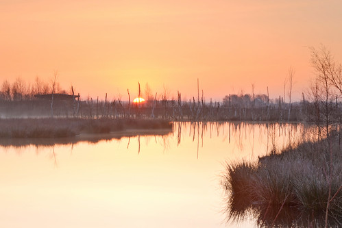 reflection nature sunrise gold nikon veen nikkor moor veld drenthe reflectie amsterdamsche bargerveen zwartemeer bourtangermoor d5100