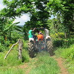 Tractors used for land transportation