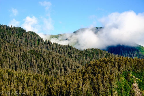 trees mountains nature alaska clouds bay unitedstates ak seward kenai 2014 resurrectionbay kenaimountains