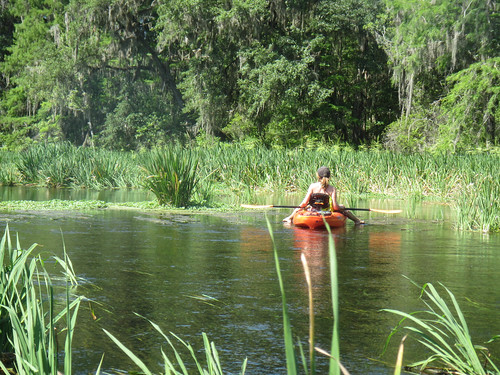 water florida places kayaking ichetuckneeriver fortwhite ichetuckneespringsstatepark otherkeywords