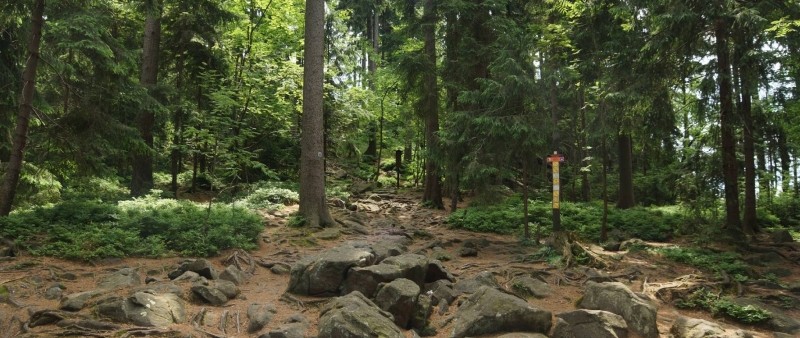 Saar Challenge, nový ultra trail v panenské přírodě Žďárských vrchů