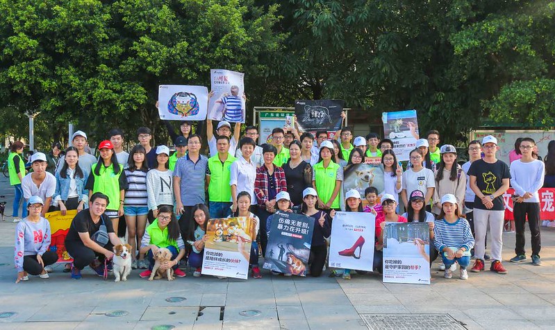 “No to cat and dog meat” posters