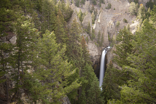 usa united october northwest north west automne fall 2015 states america northwestern norwest national park nationalpark roadtrip road trip photoroadtrip french français nature aventure liberty liberté canoneos5d canon5d mark 1 canon eos 5d classic jrpharma parc parcnationaux parcnational pacificnorthwest pacific yellowstonenationalpark wyoming yellowstone yellowstonenp
