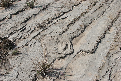 sedimentary rock ripples