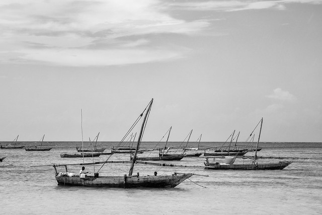 The Dhows of Zanzibar