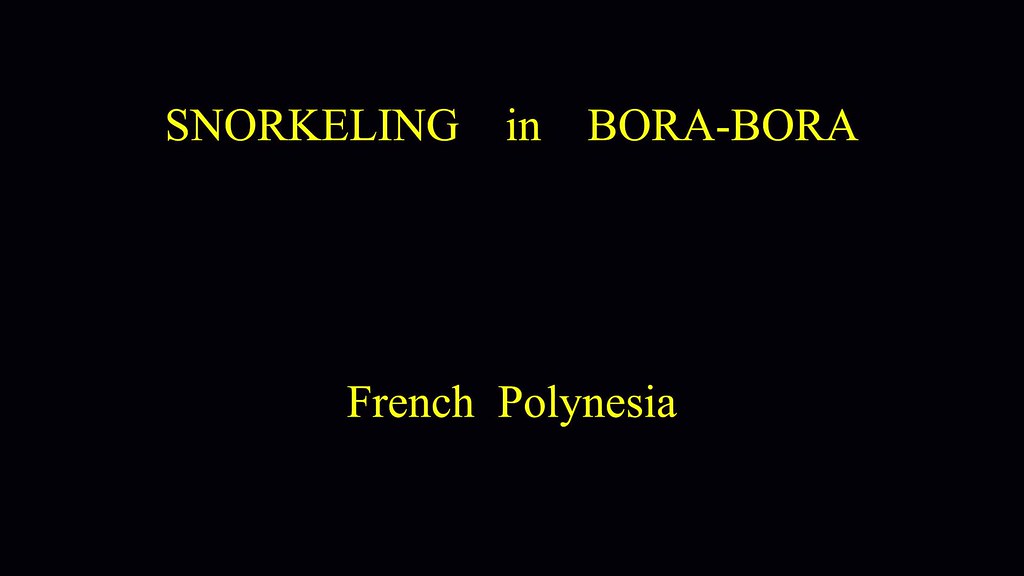 "Snorkeling with sharks in Bora-Bora" - French Polynesia