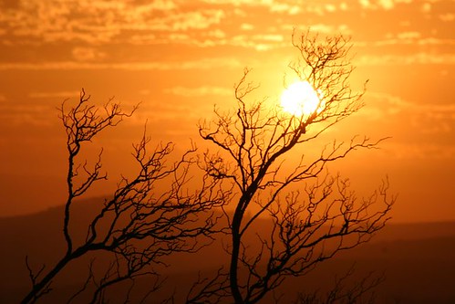 africa sunset beautiful landscape southafrica