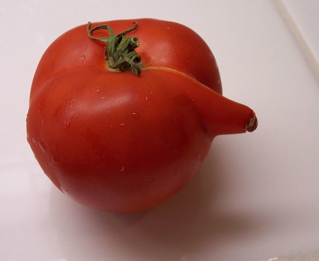 tomato nose