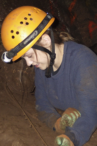 caves research arkansas caving biology cushman speleology lyoncollege biospeleology blowingcave cobragrotto