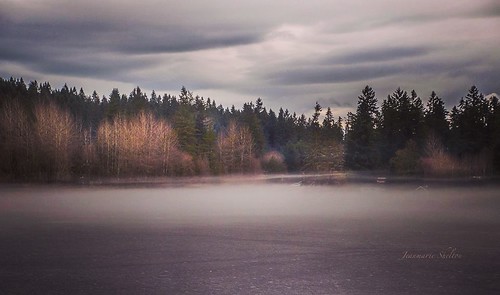 water waterscape fog winter mist nikond810 nikon nature clouds sky cottagelake jeanmarie jeanmarieshelton