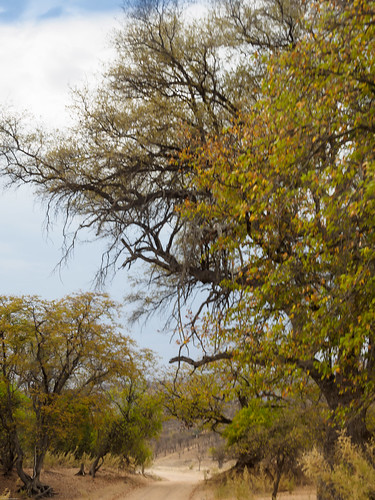 kuneneriver namibia paysage border fleuve nature octobre kunene namibie