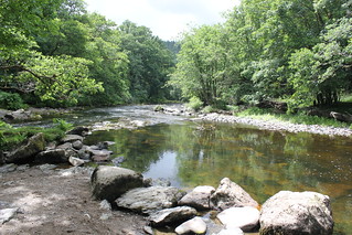 Tavistock to Bere Alston 048