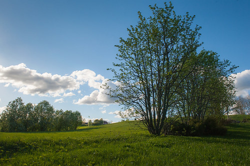building green field grass clouds landscape nikon sweden bluesky d700