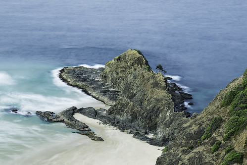 capereinga northland newzealand nz landscape seascapes canon canoneos6d pohutukawatree pohutukawa sea ocean tasmansea pacificocean coast coastal