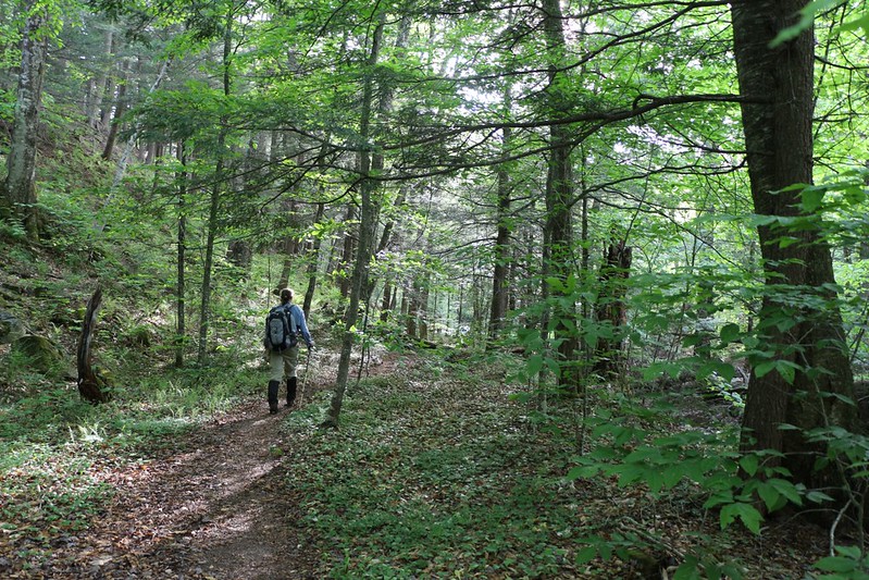 Hiking on the Fisherman's Path along the East Branch of the Neversink River