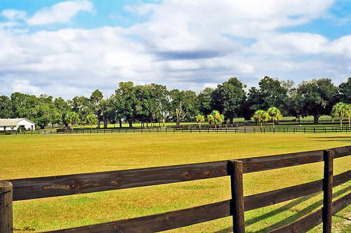 field fence florida farm pasture ocala