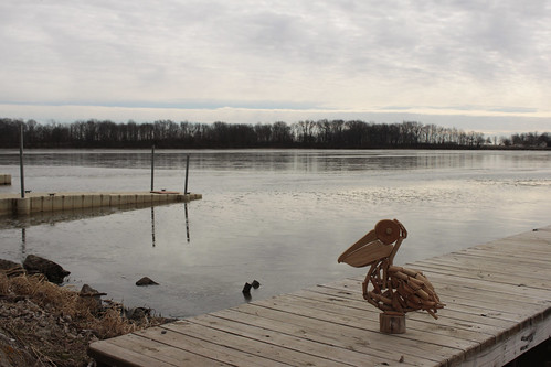 water lakemattoon mattoonillinois winter sculpture woodensculpture pelican sky clouds boatdock 100possibilities