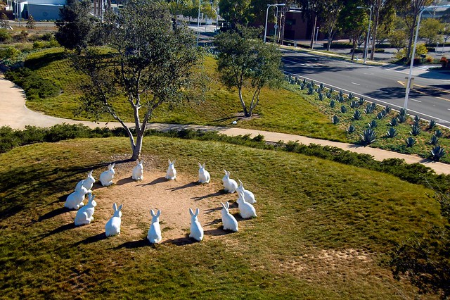 Bunnyhenge Revisited