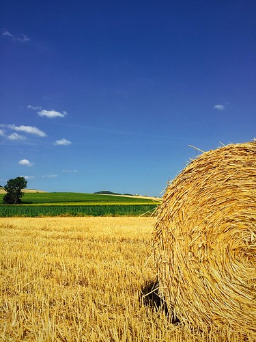 summer field harvest auvergne enjoyingtheview landscapephotography landscapecollection iphoneography myauvergne holidaypov