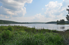 Shohola Marsh Reservoir