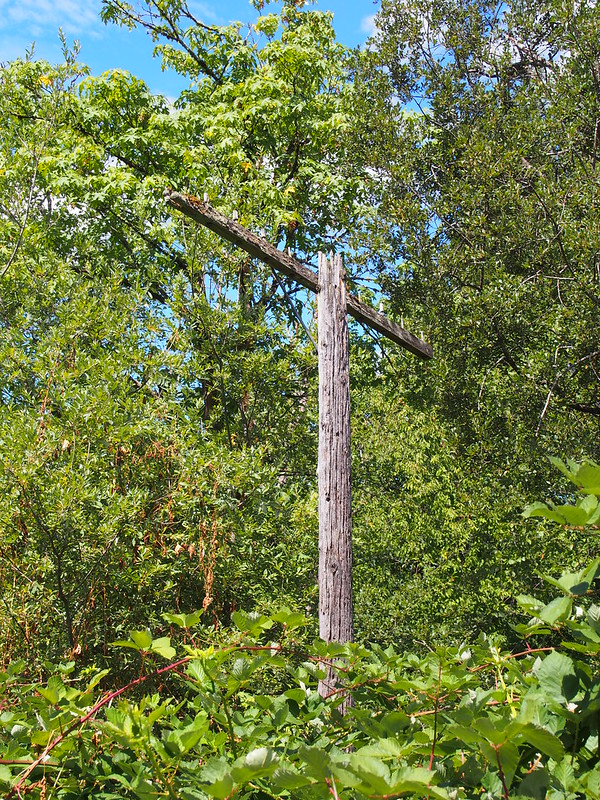 Abandoned Telegraph Pole: I've seen these beside other rail trails, but hadn't noticed this one on the Foothills Trail Yet.