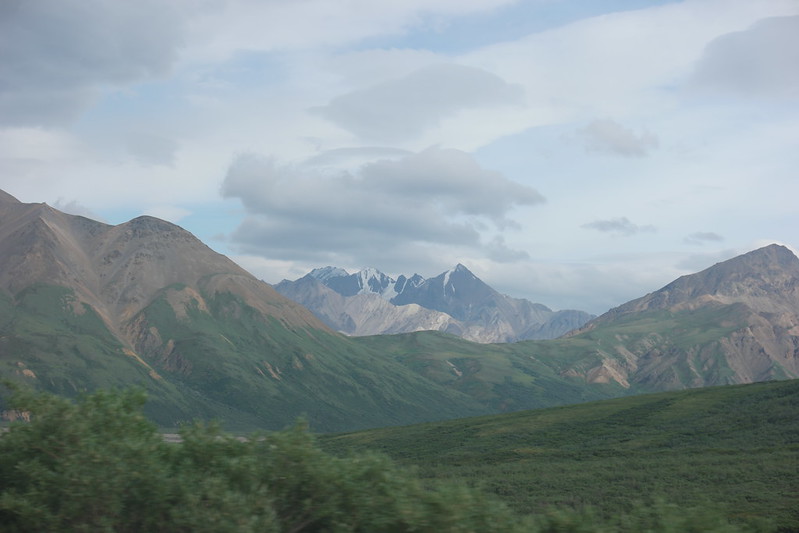Blog Denali Alaska