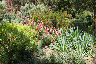 Hillhead, Coleton Fishacre (NT) & Kingswear 088