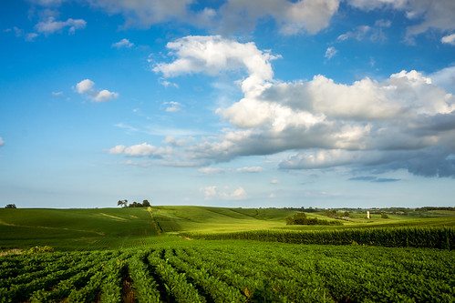 blue cloud green field clouds landscape illinois farm hill farming hills simple