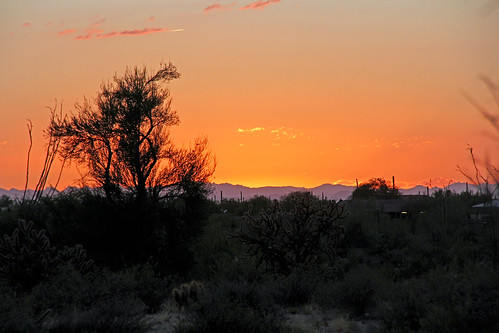 sunset arizona cactus sky mountains phoenix sunsets arizonasunset sunsetphotography