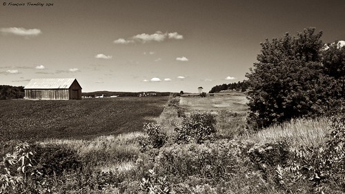 field sepia barn quebec country paysagessépia