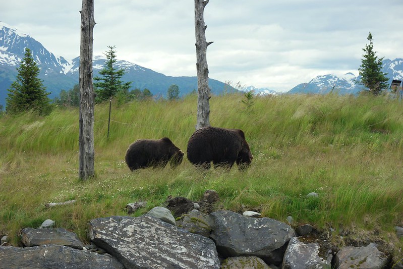 Blog Alaska Portage