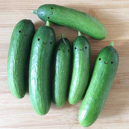 Bought some baby cucumbers today - they're so cute! Off to pickle them now.