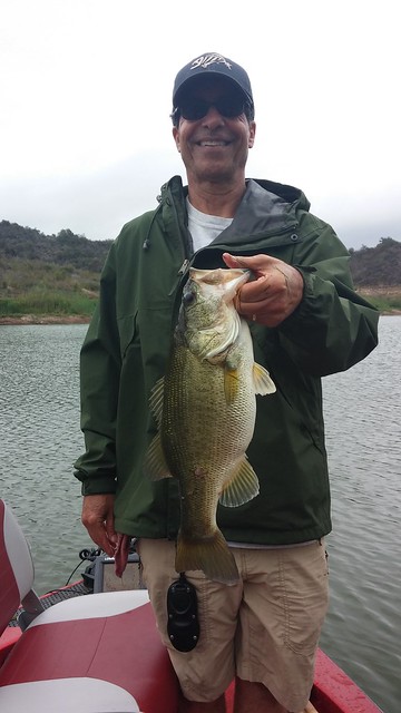3+ Pound Lake Casitas Bass
