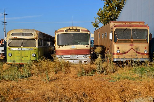 buses williams busgraveyard colusacounty oldus99 usroute99w