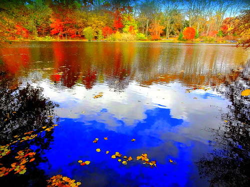 newyork brooklyn dmitriyfomenko image sky clouds sunset lake reflection fall autumn prospectpark foliage trees